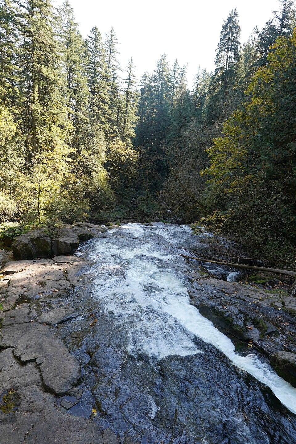 Round Lake - Photo 1
