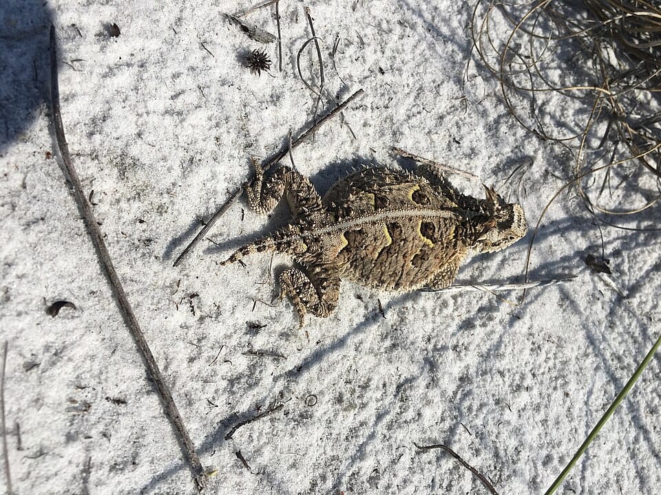 Gulf Islands National Seashore - Photo 1