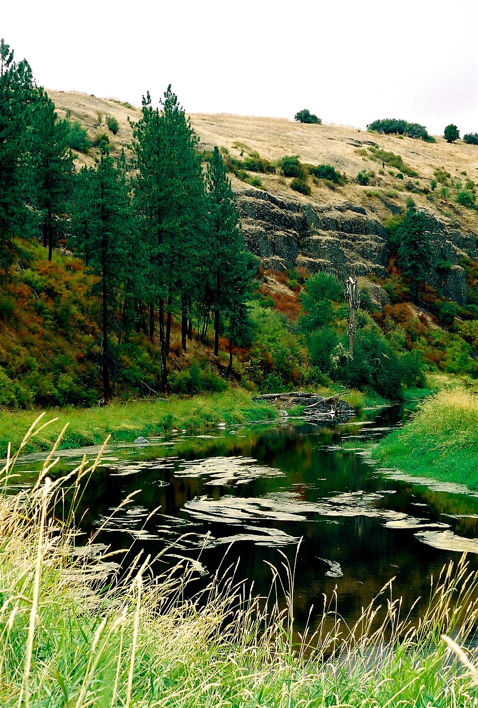 Palouse River - Photo 1
