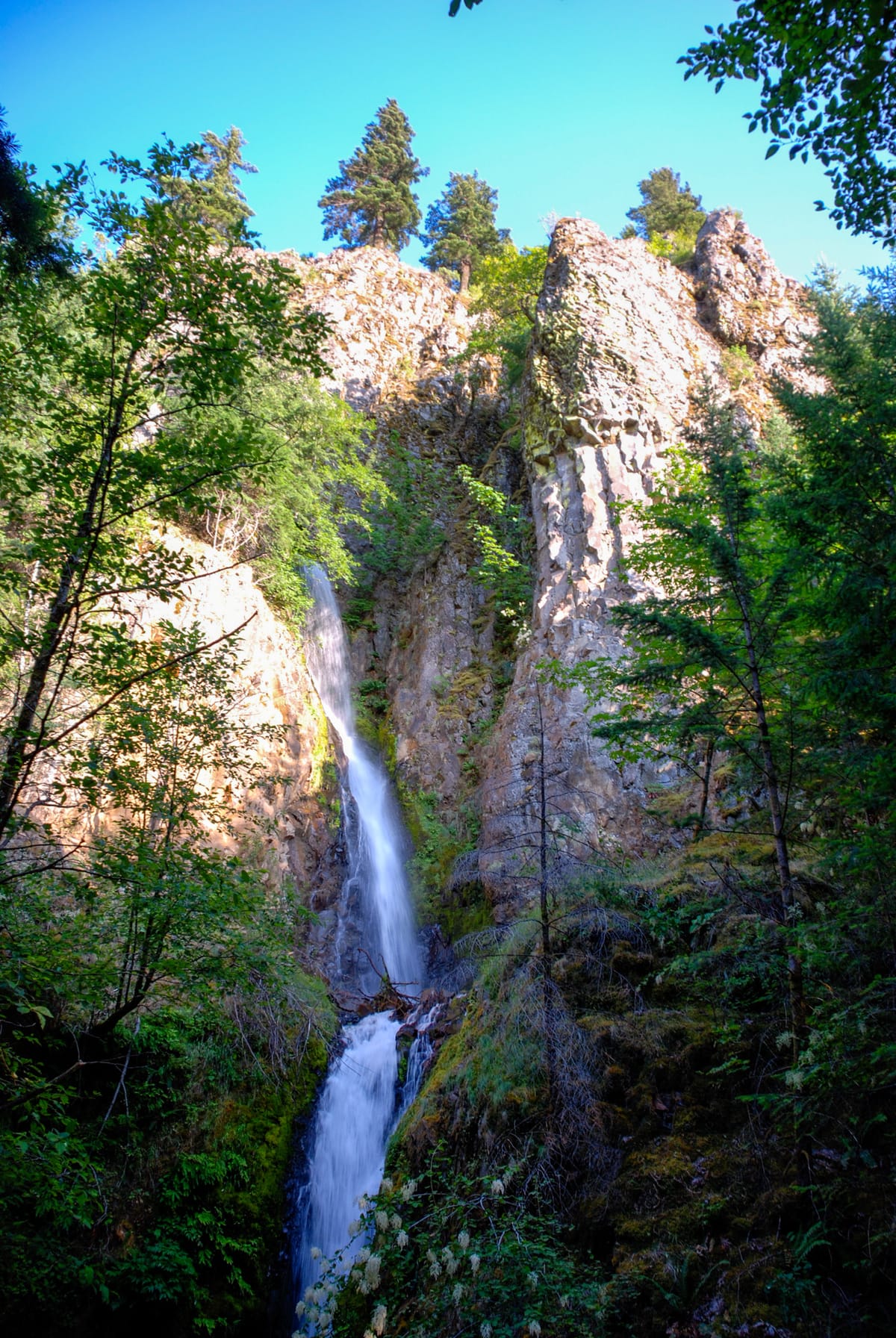 Warren Falls - Photo 1