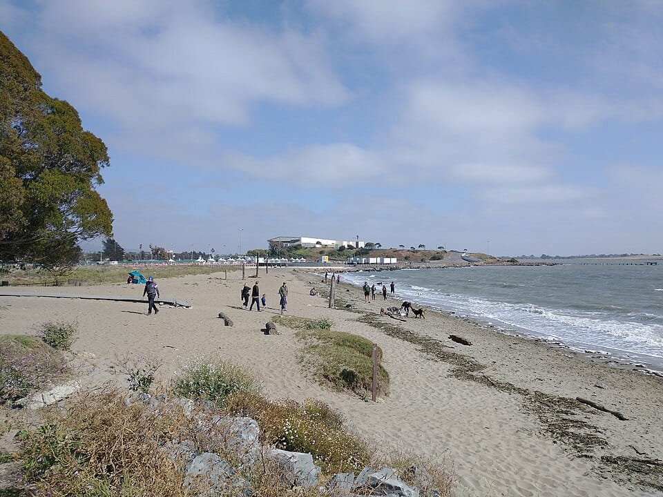 Albany Beach - Photo 1