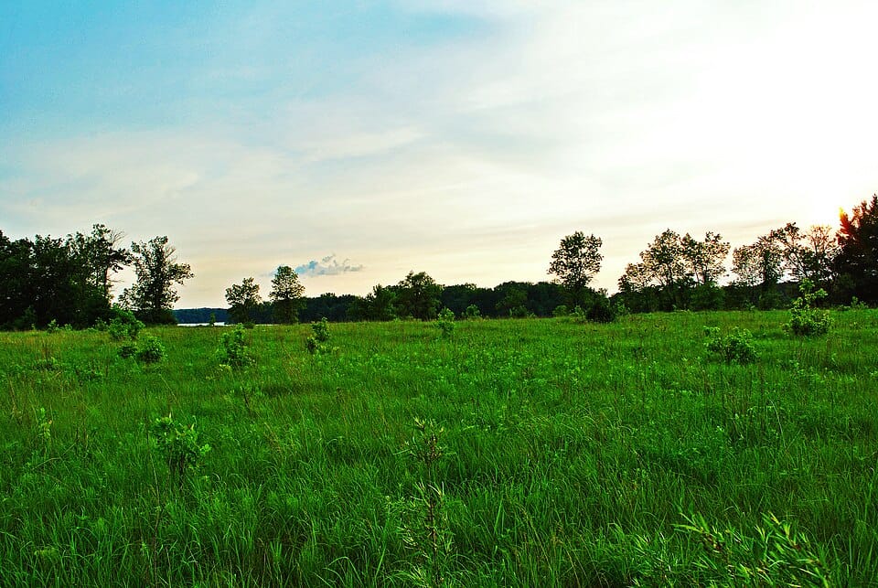 Lake Menomin Park - Photo 1