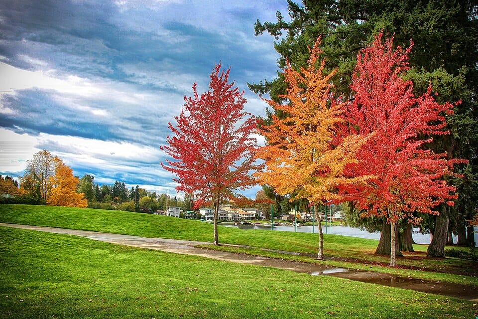 Lake Meridian Park - Photo 1