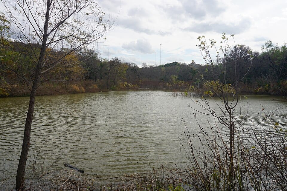 Duck Pond - Photo 1