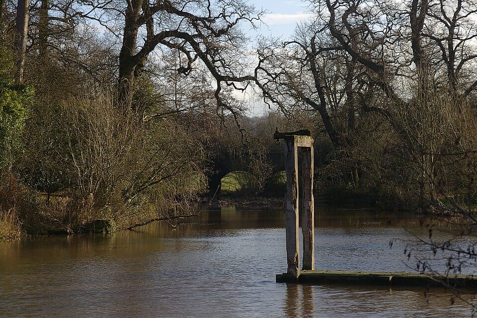 Lake in the Green - Photo 1
