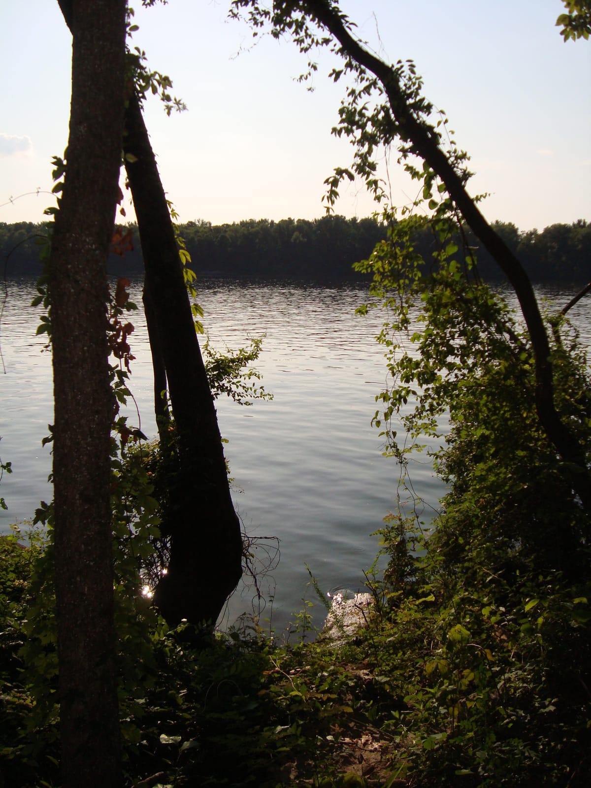 Spring Creek - Photo 1