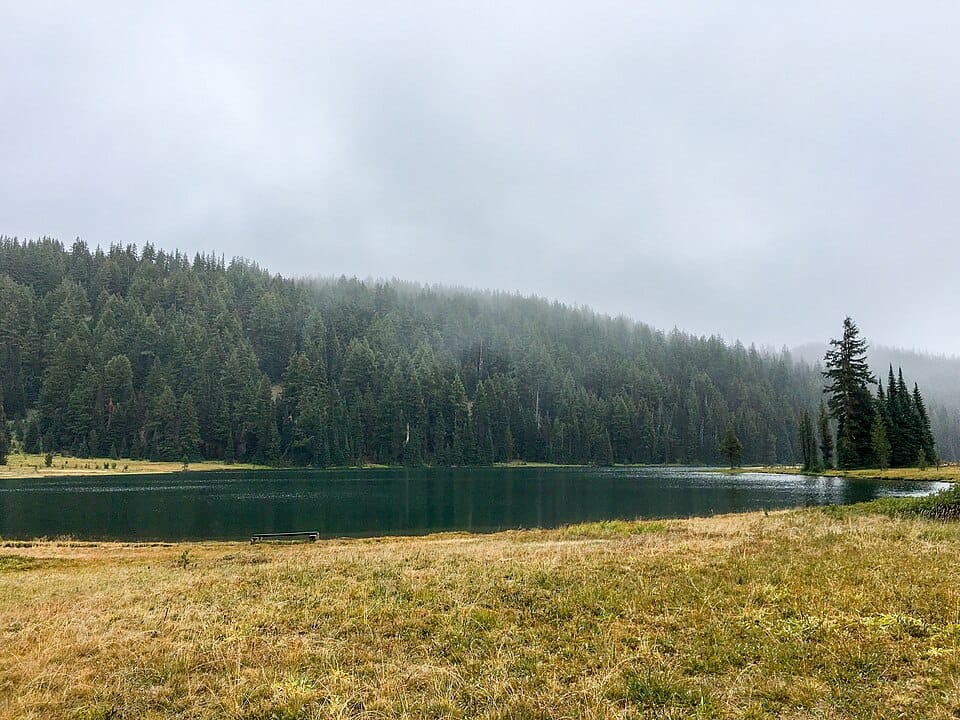 Todd Lake - Photo 1