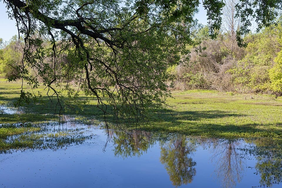 Big Chico Creek Day Use Area - Photo 1