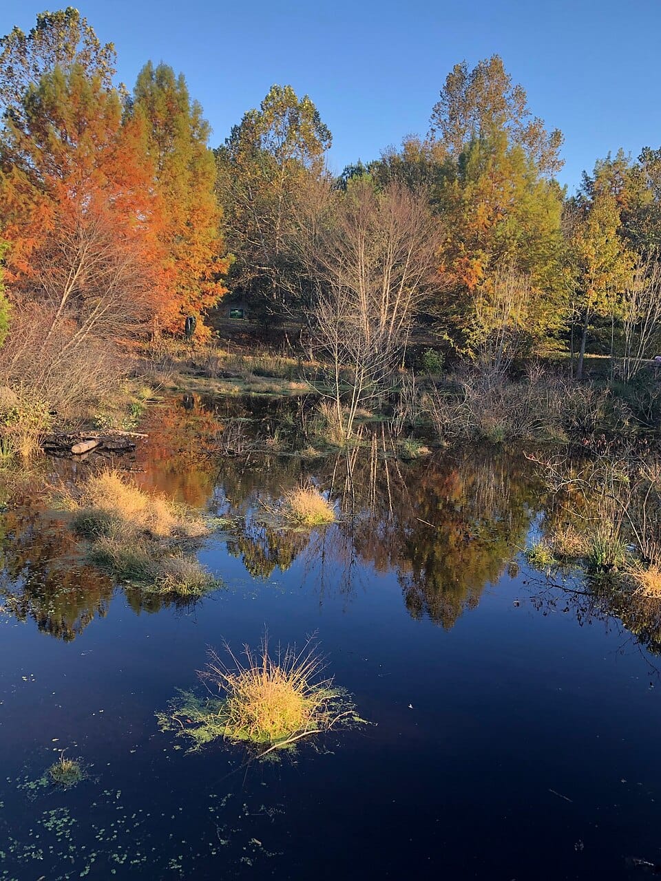 Lake Tuckahoe - Photo 1