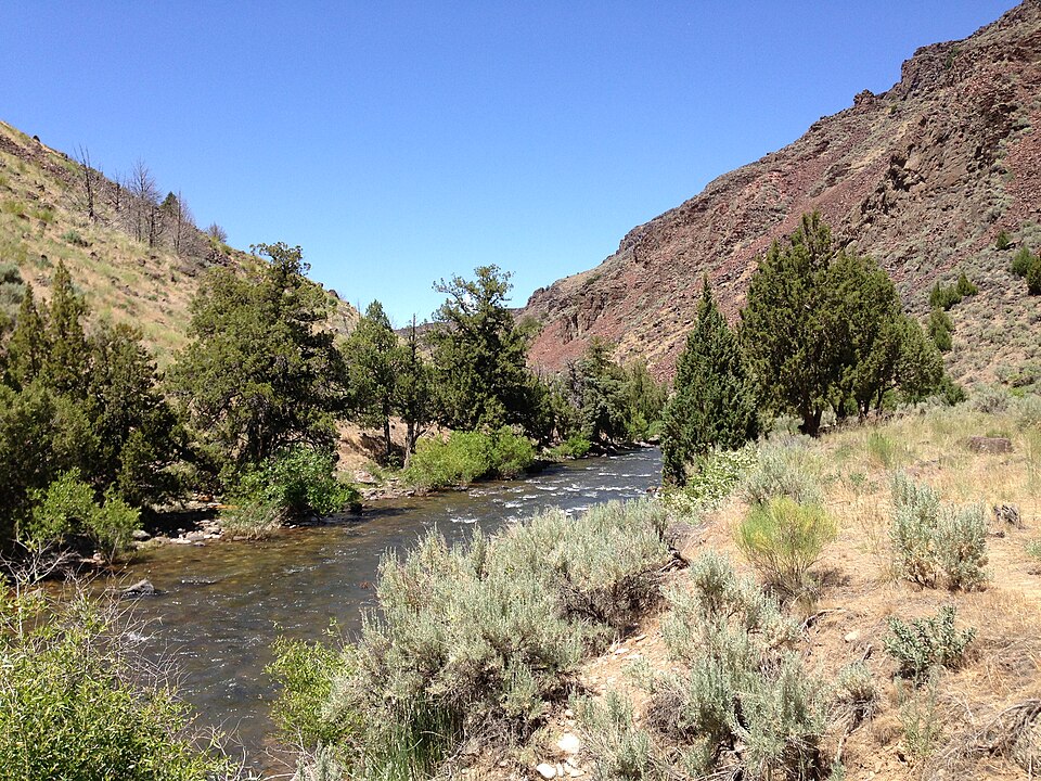 Jarbidge River - Photo 1