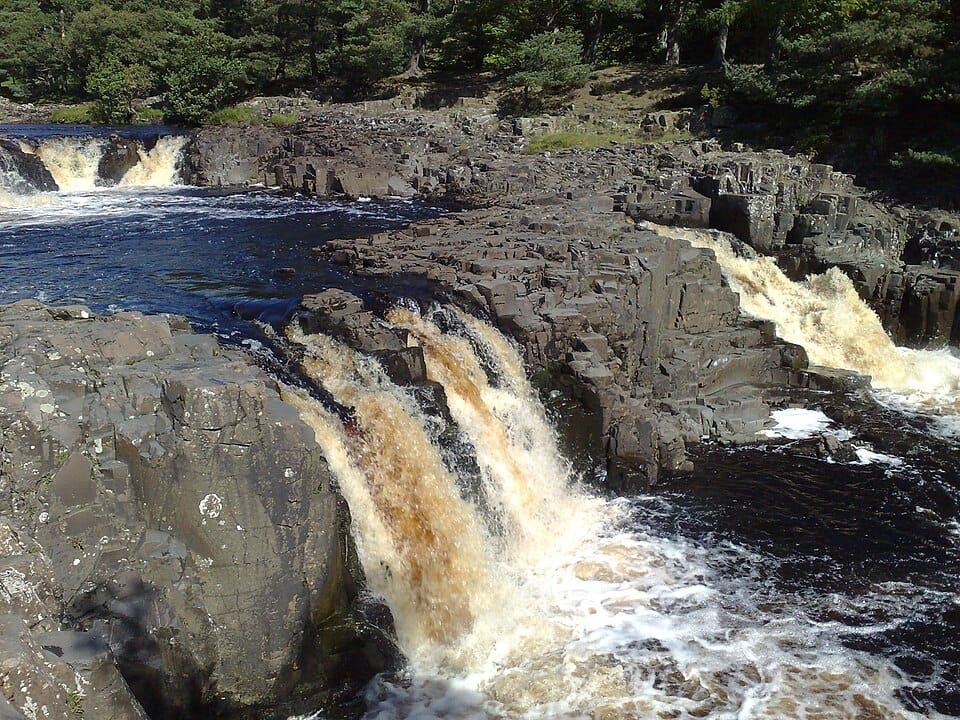 Low Force - Photo 1