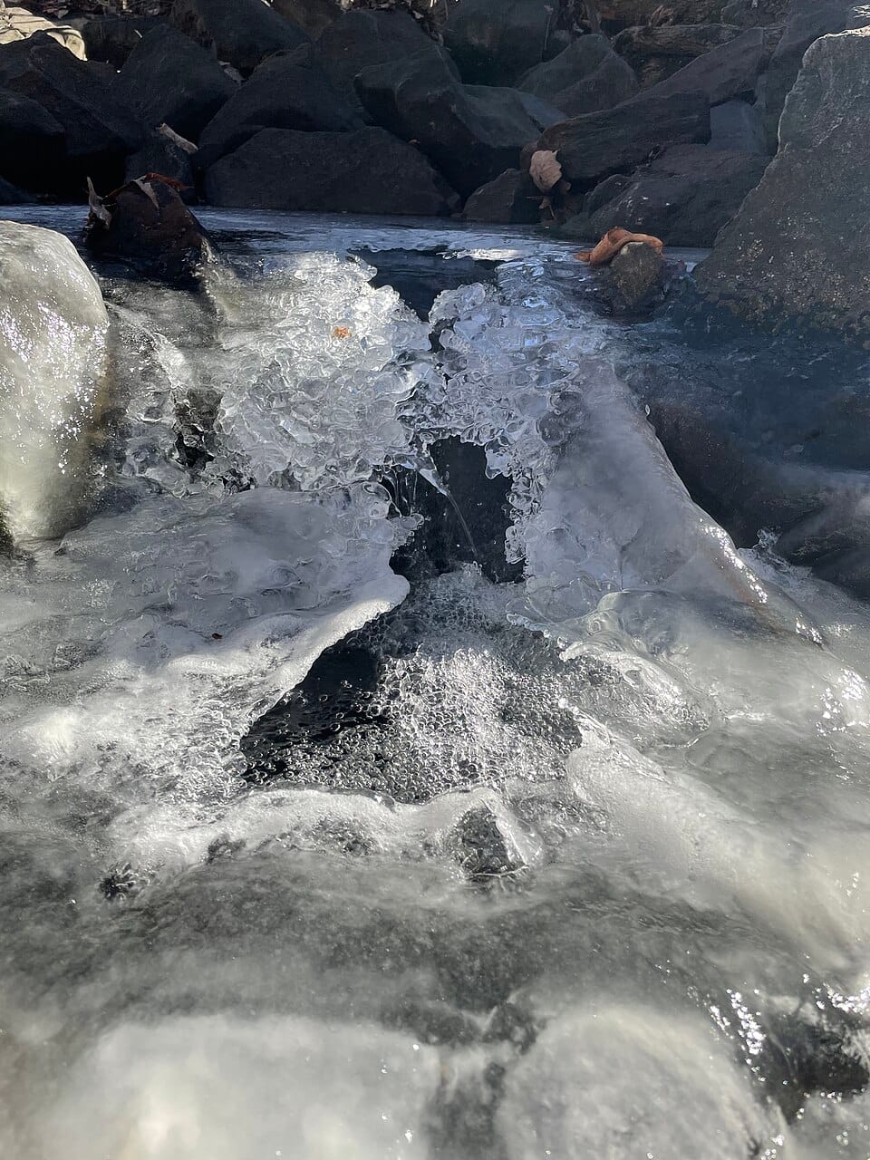 Stony Creek River - Photo 1