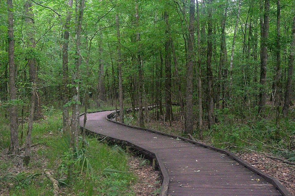 Lake Livingston State Park - Photo 1