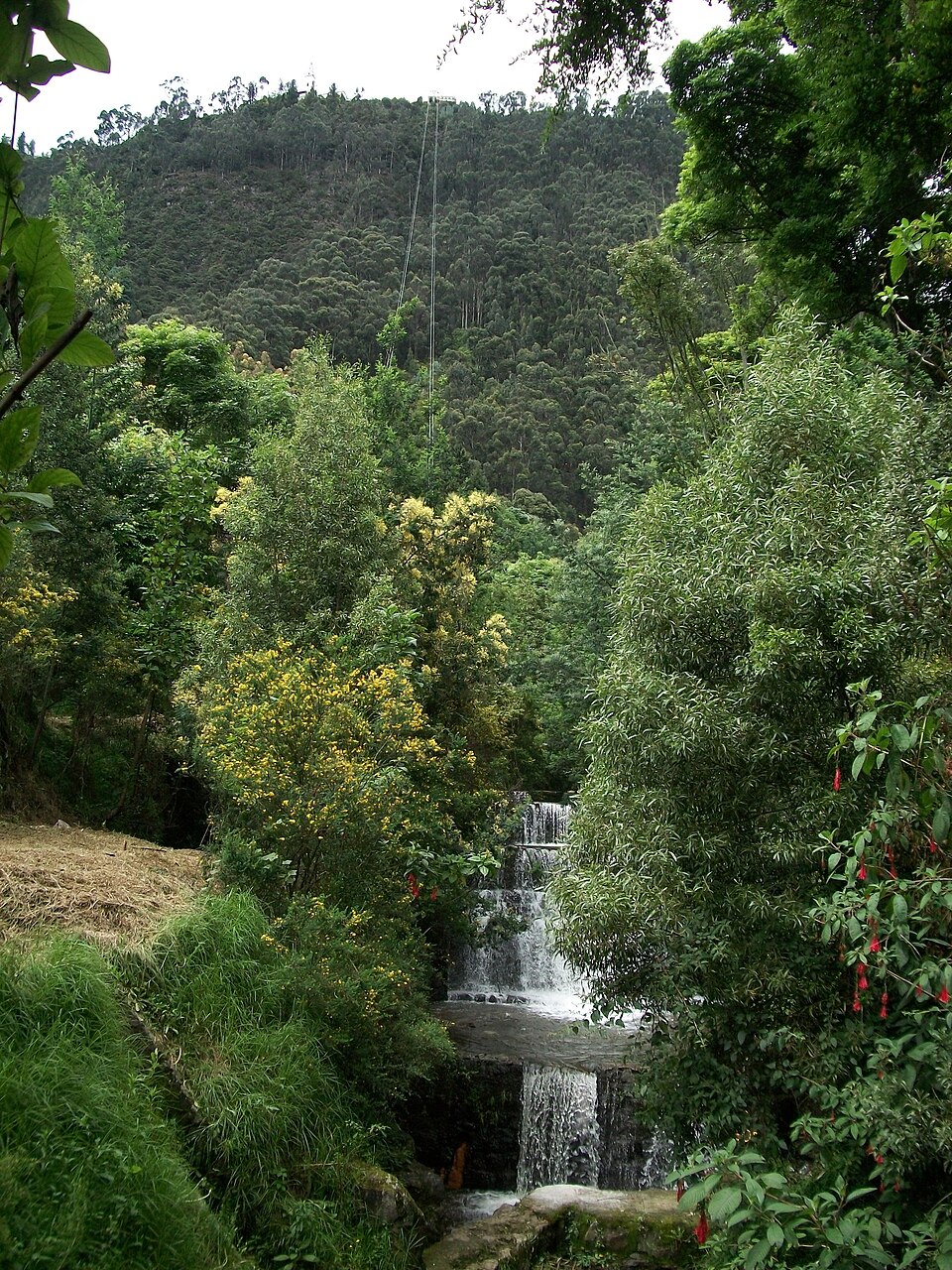 San Francisco River - Photo 1