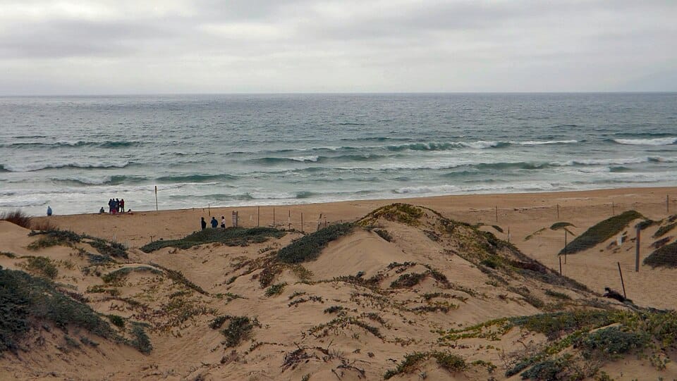 Oceano Dunes OHV Area - Photo 1
