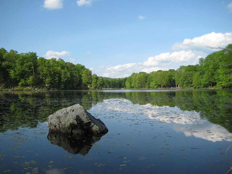 Johnson Lake - Photo 1