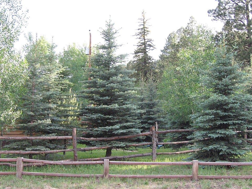 Greer Lake Picnic Area - Photo 1