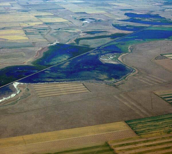 Park Lake - Photo 1