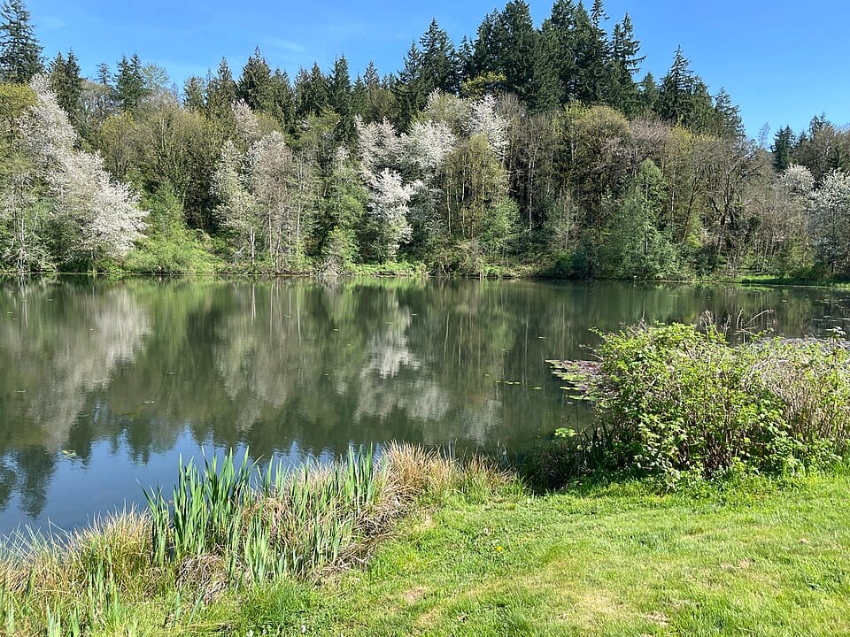 Rasmussen Lake - Photo 1