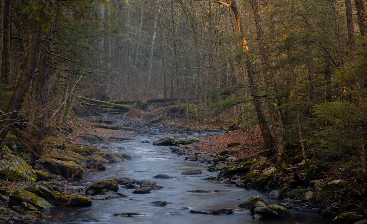 Dingmans Creek - Photo 1