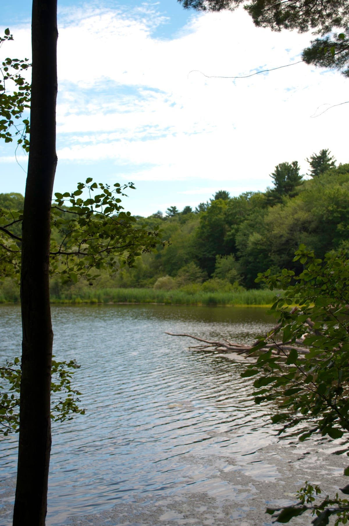 Porter Lake - Photo 1