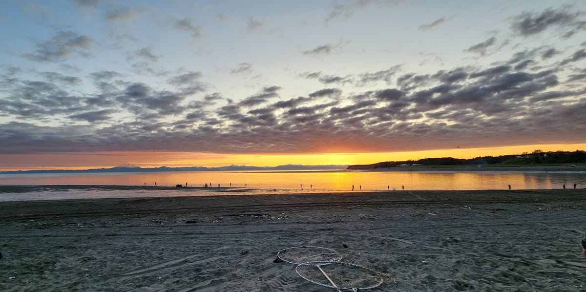 Kenai Beach - Photo 1