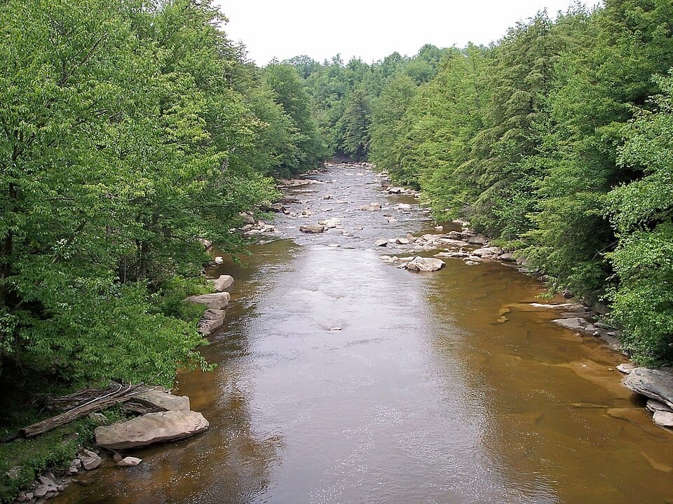 Blackwater River - Photo 1