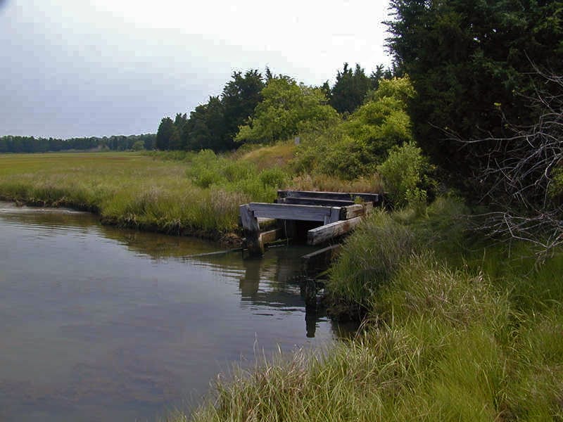Slocums River - Photo 1