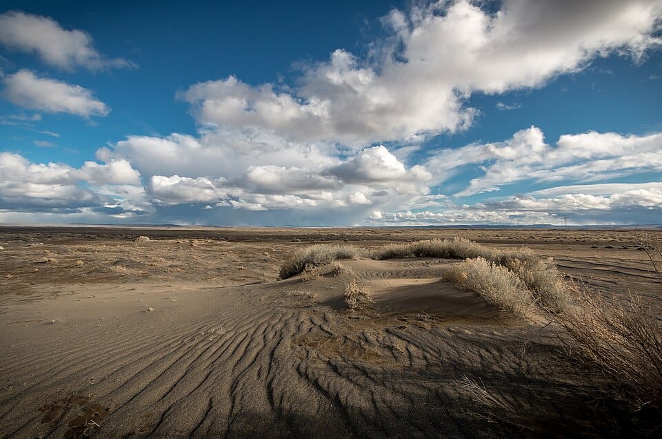 Fossil Lake - Photo 1