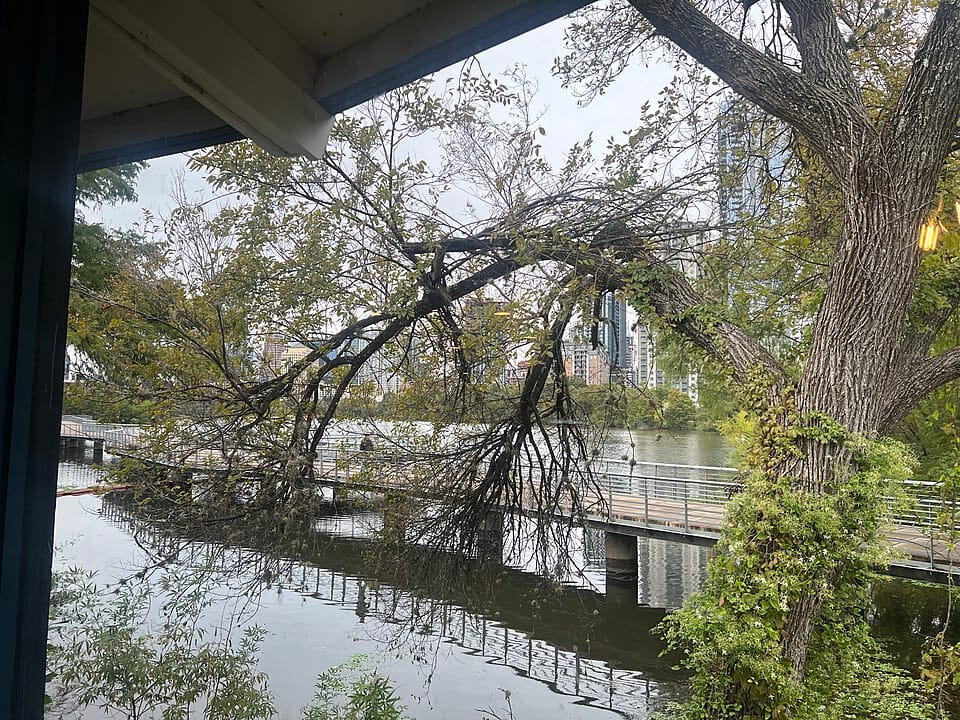 Lady Bird Lake Town Lake - Photo 1