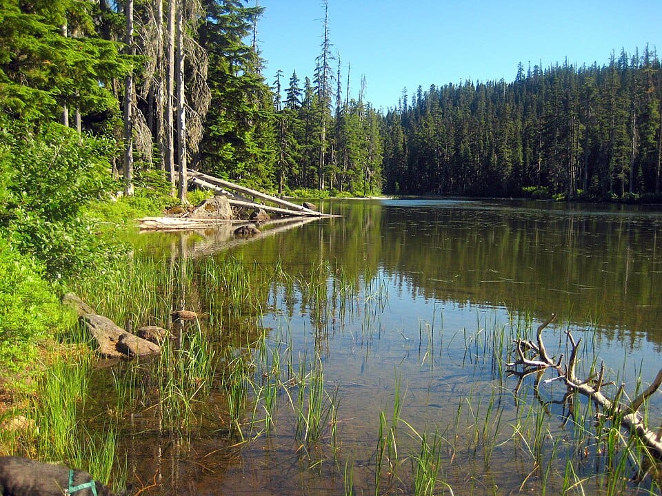 Boulder Lake - Photo 1