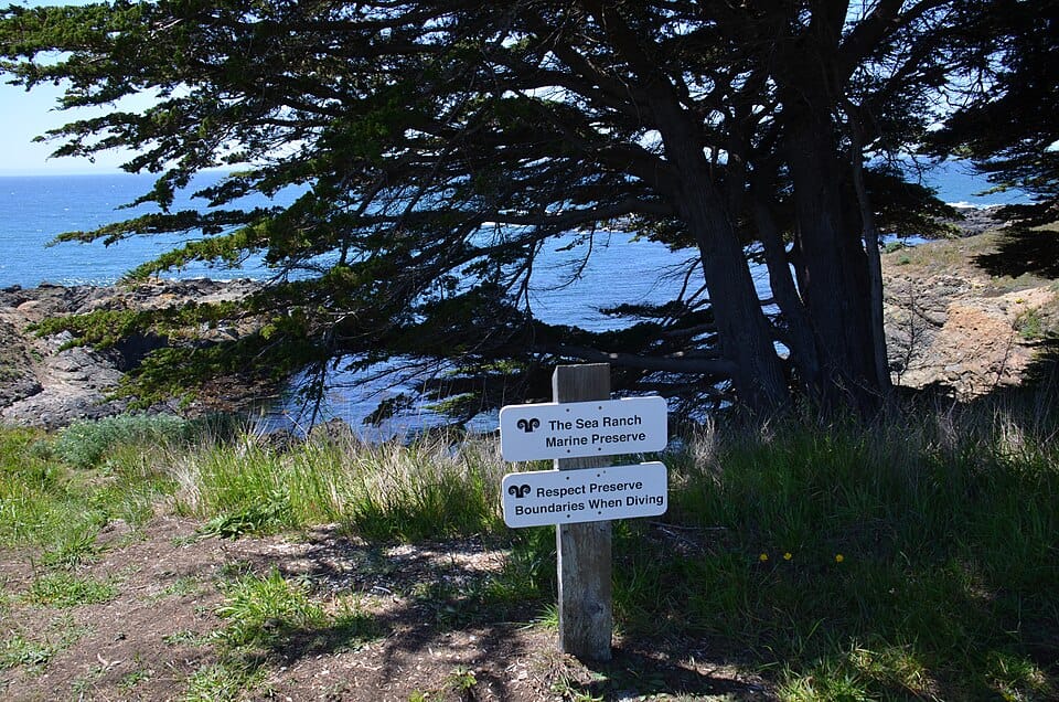 Pebble Beach - Photo 1