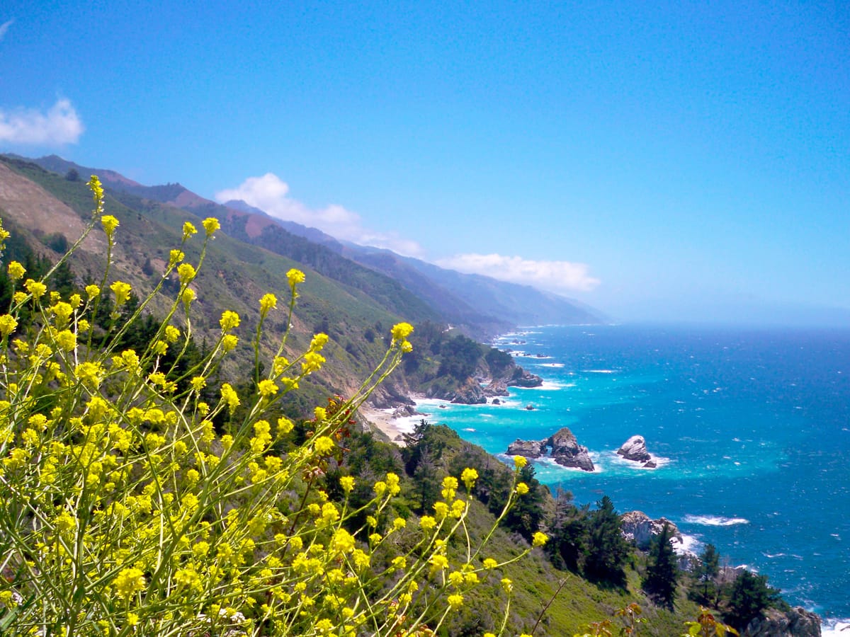 Partington Cove - Photo 1