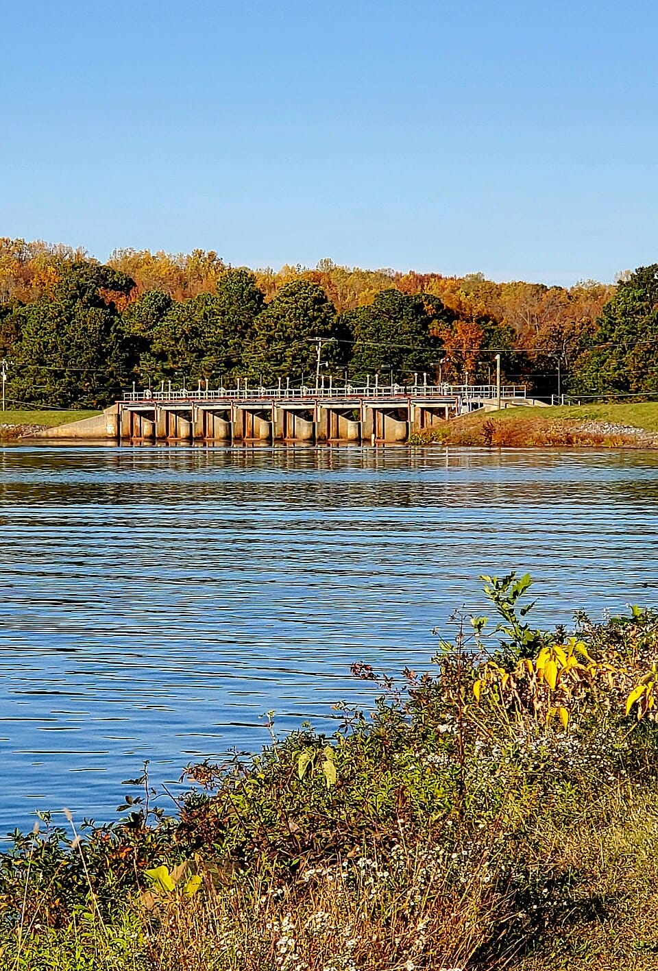 Lake Brandt Marina - Photo 1
