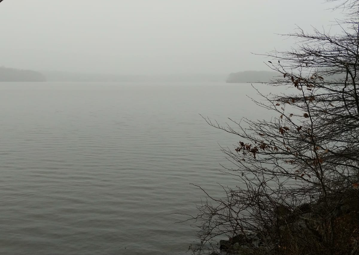 Lake Anna - Photo 1