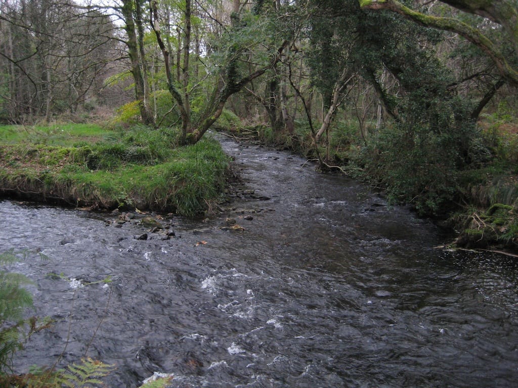 Baldwin River - Photo 1