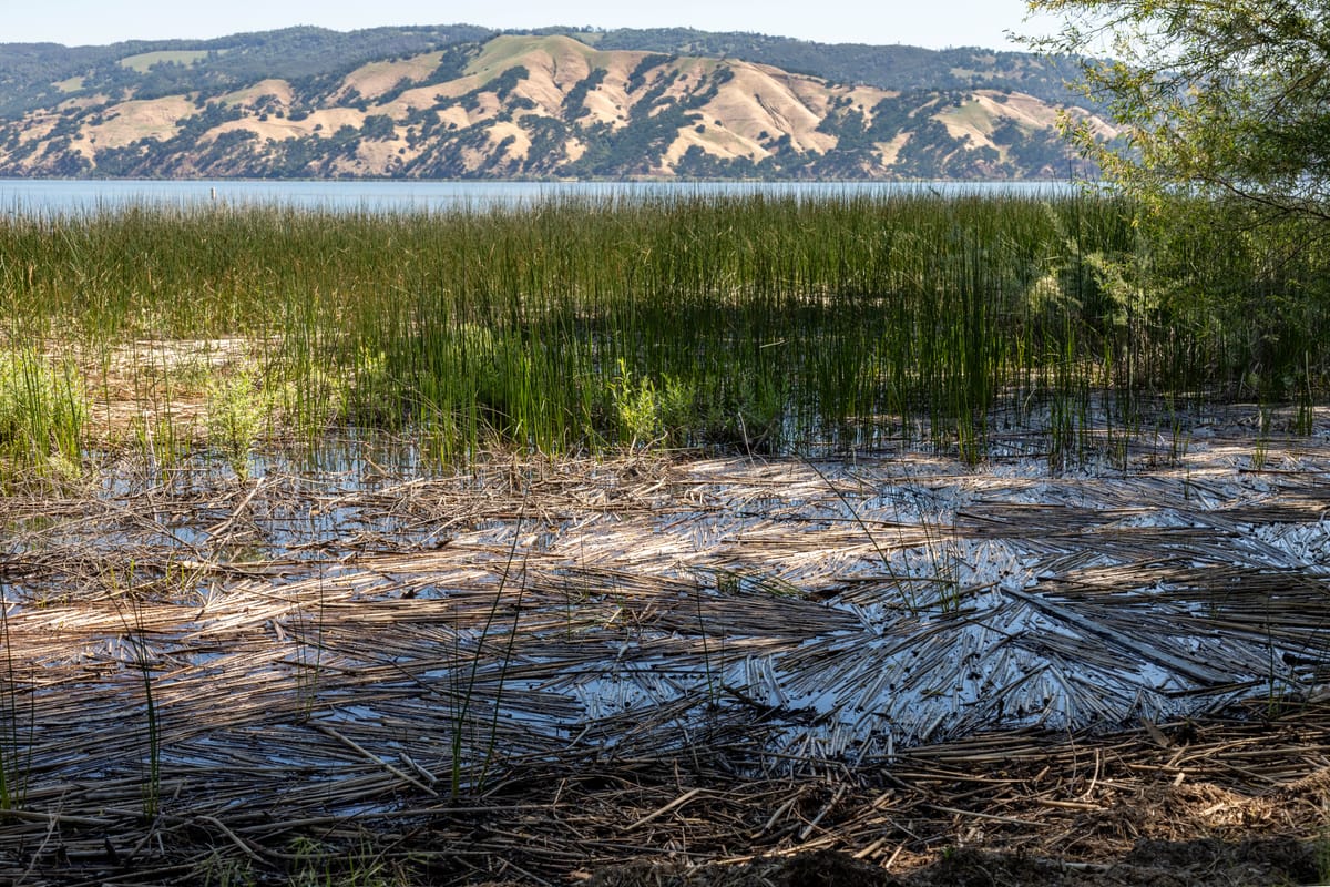 Clear Lake State Park - Photo 1
