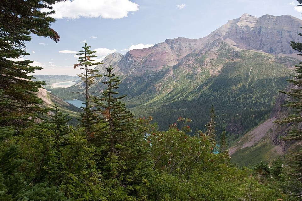 Reservoir Lake - Photo 1
