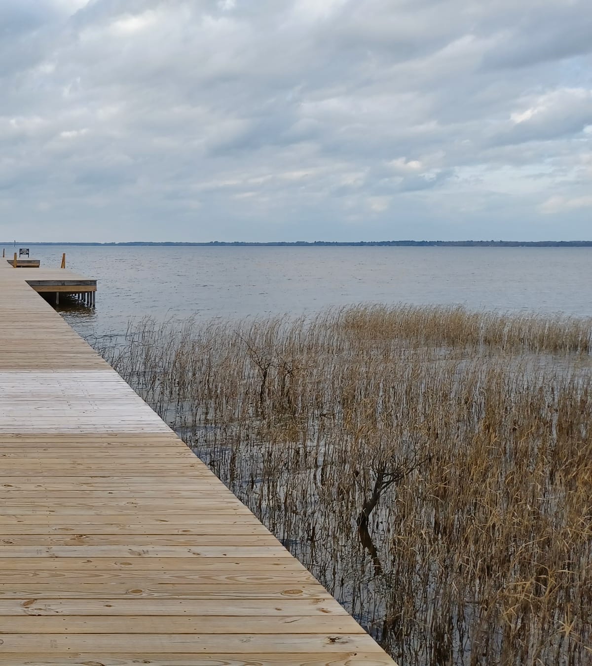 Lake Waccamaw State Park - Photo 1