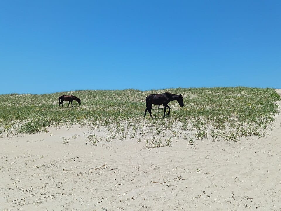 Corolla Beach - Photo 1