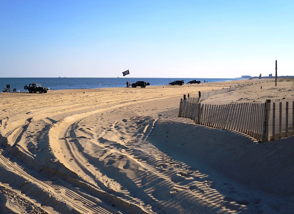 Cape Henlopen State Park Beach - Photo 1