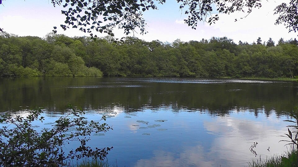 Moans or Drumnahavil Lough - Photo 1