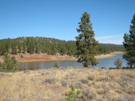 Antelope Flat Reservoir - Photo 1
