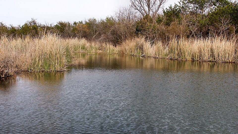 Lake Abilene - Photo 1