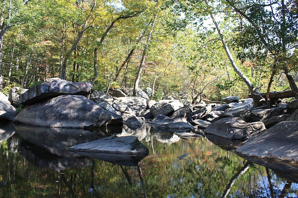 Unami Creek - Photo 1