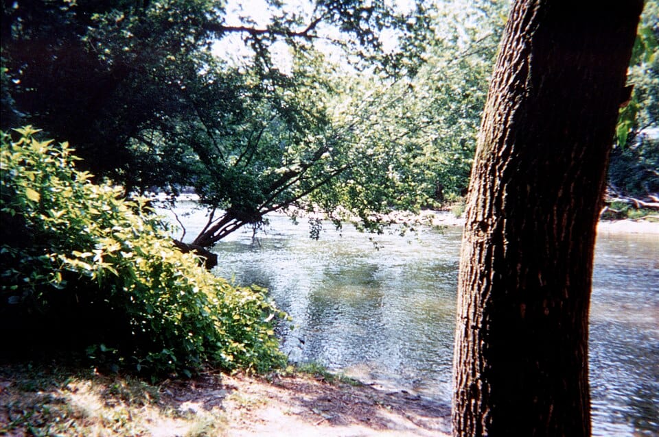 Root River - Photo 1