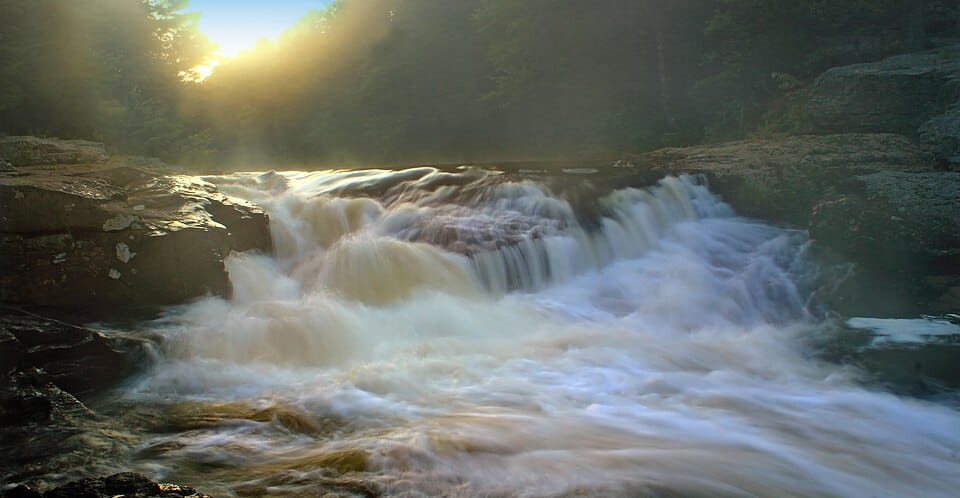 Austin T. Blakeslee Natural Area - Photo 1