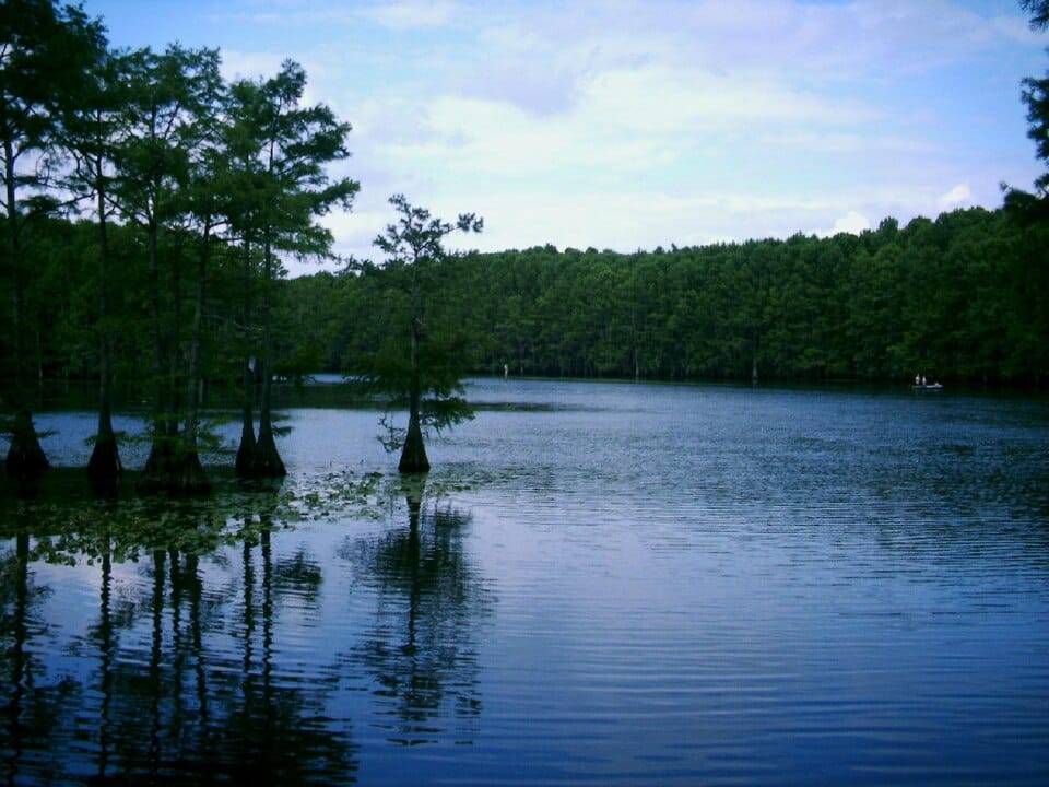 Caddo Lake - Photo 1