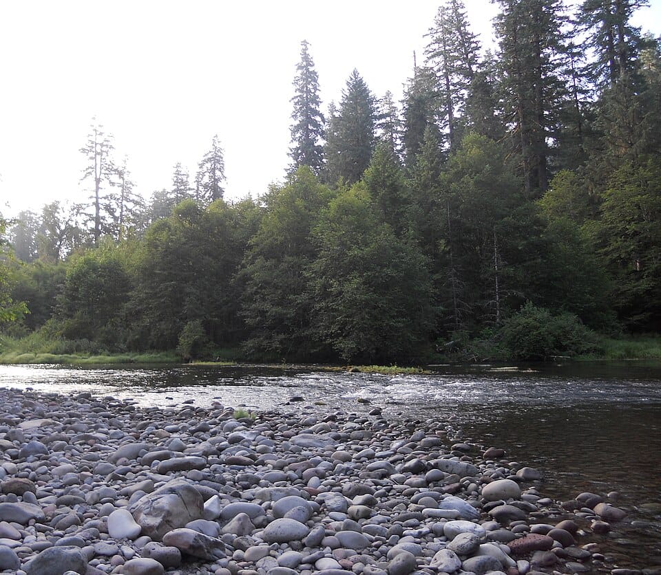 North Fork Middle Fork Willamette River - Photo 1