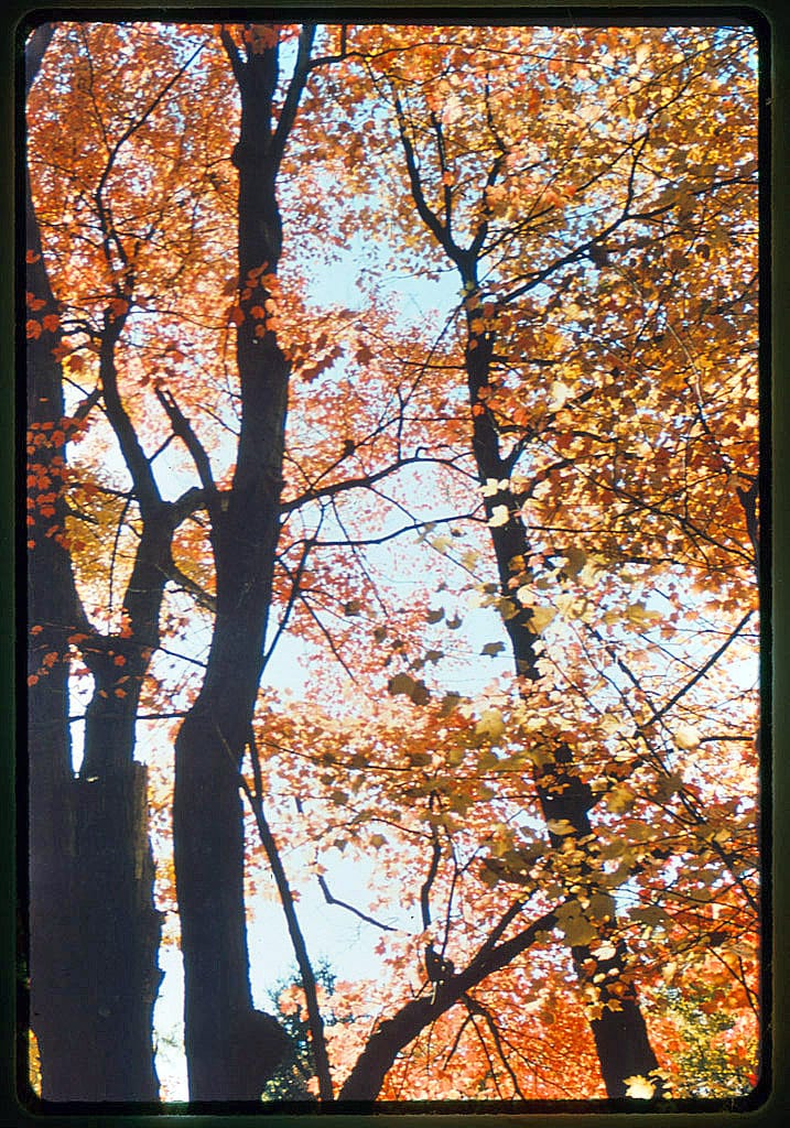 Ashuelot River Park - Photo 1